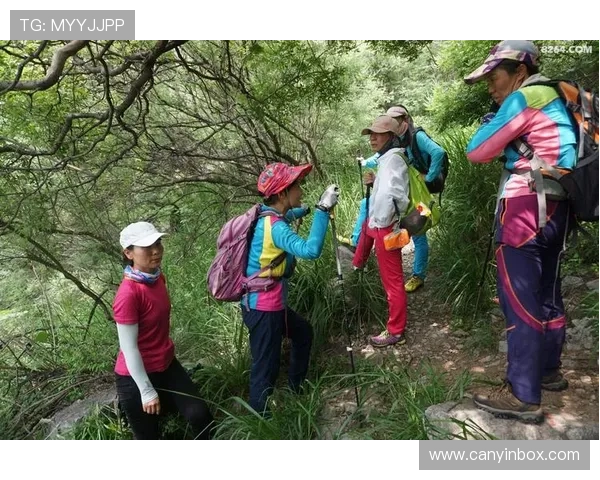 成都攀岩队的精神探索与团队意识的深度剖析与分享